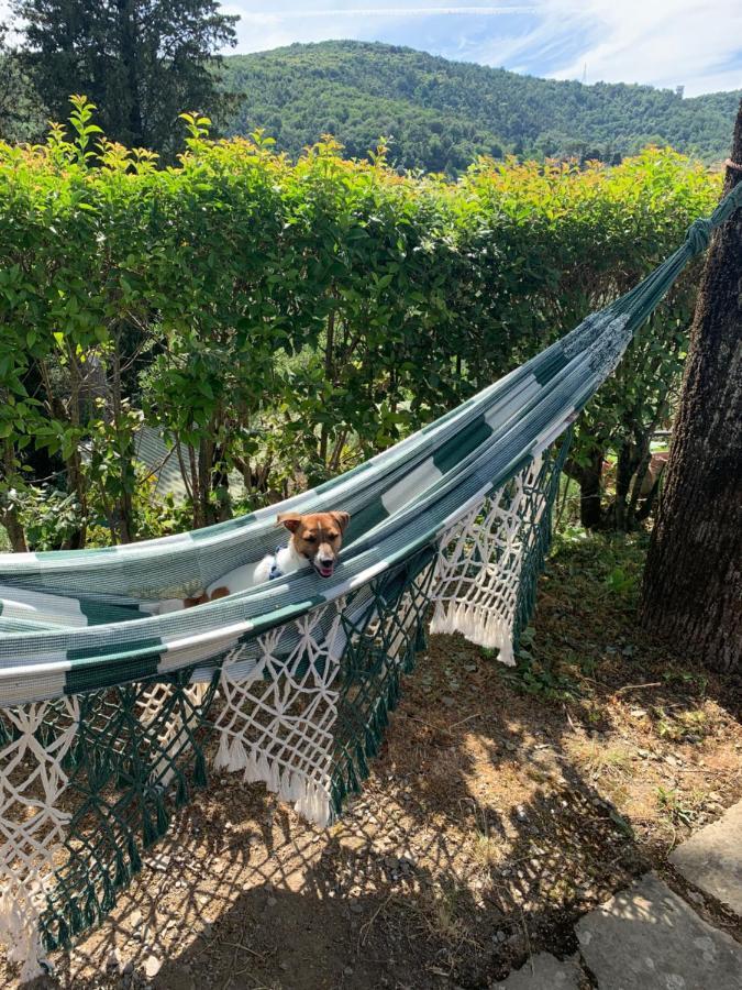 كارمينيانو Barco Mediceo B&B In Toscana المظهر الخارجي الصورة