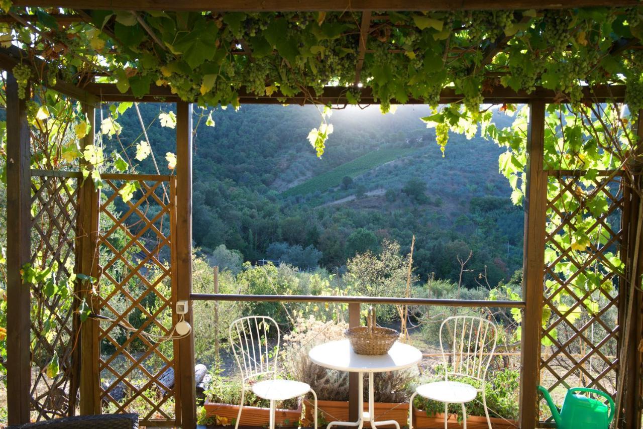 كارمينيانو Barco Mediceo B&B In Toscana المظهر الخارجي الصورة